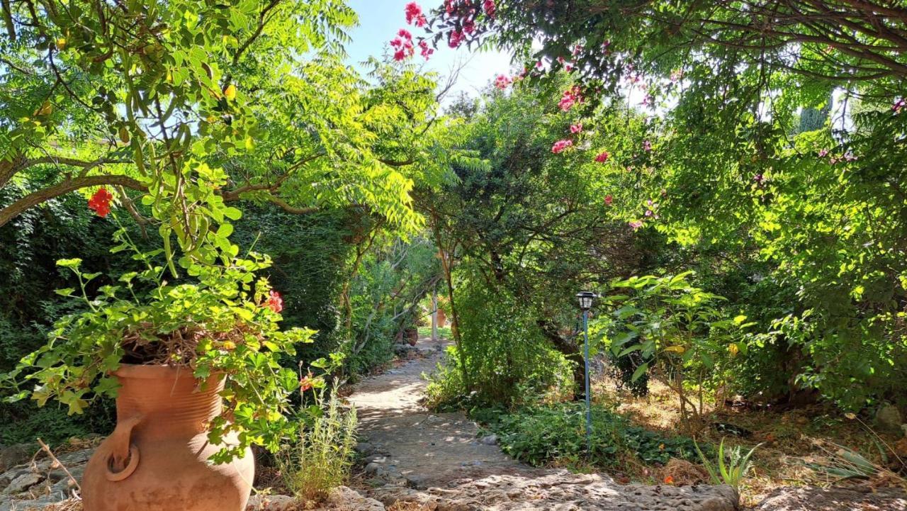 Villa Adama Clil Экстерьер фото